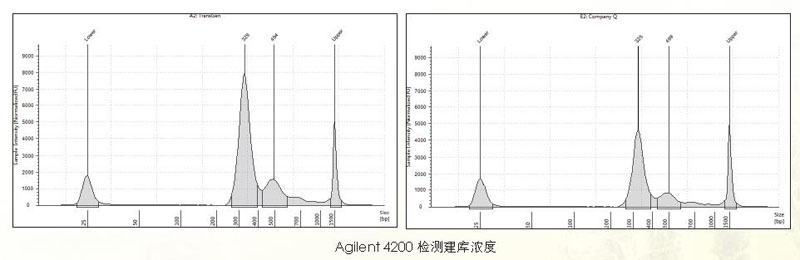 【新品上市】磁珠法游離DNA提取試劑盒