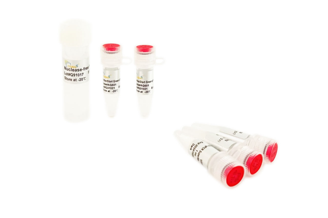 熱啟動系列熒光定量PCR試劑盒