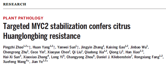 Targeted MYC2 stabilization confers citrus Huanglongbing resistance
