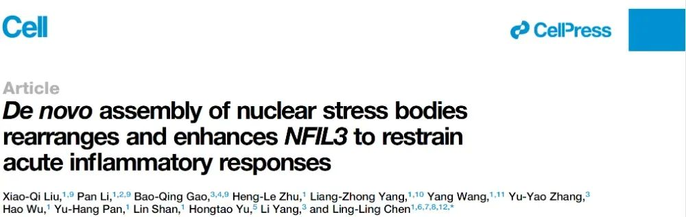 De novo&nbsp;assembly of nuclear stress bodies rearranges and enhances&nbsp;NFIL3&nbsp;to restrain acute inflammatory responses