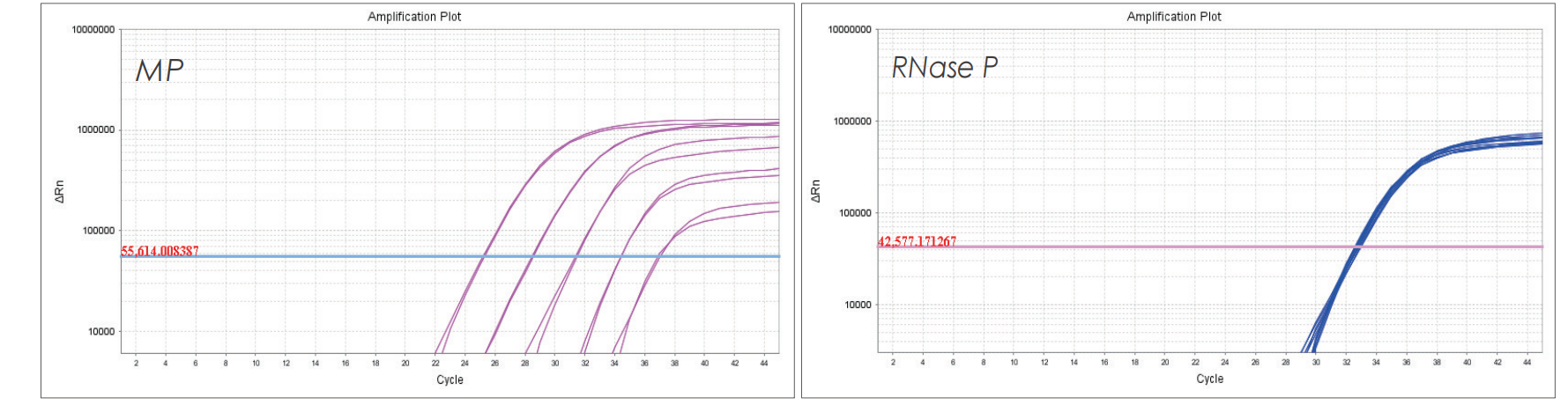 實驗數(shù)據(jù)
