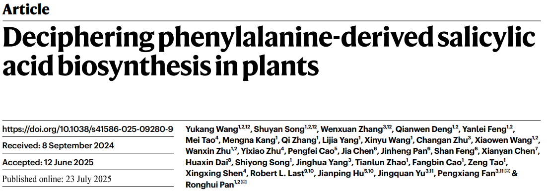 Deciphering phenylalanine-derived salicylic acid biosynthesis in plants