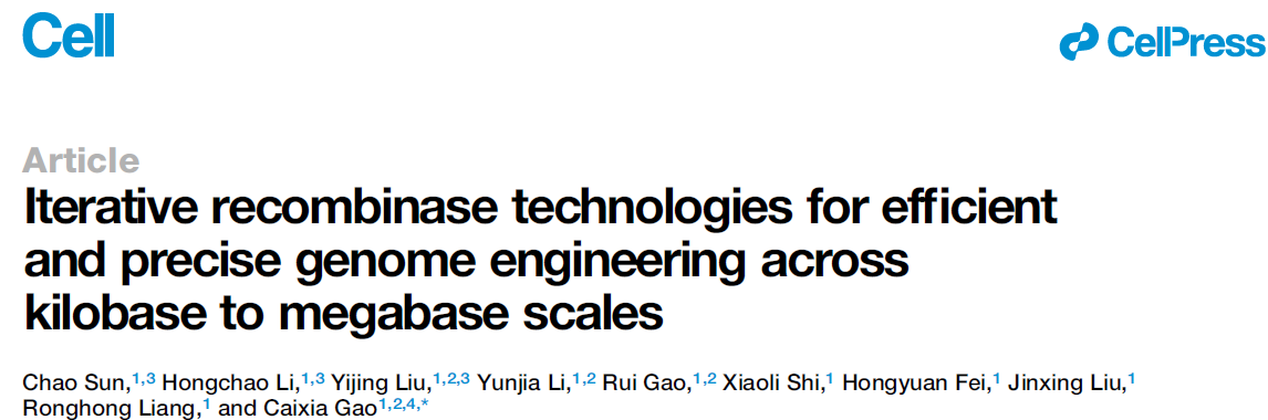 Iterative recombinase technologies for efficient and precise genome engineering across kilobase to megabase scales
