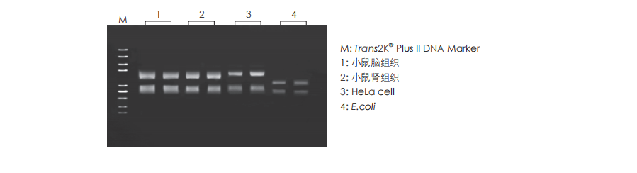  數(shù)據(jù)展示