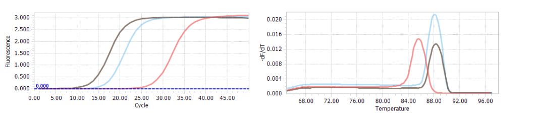 數(shù)據(jù)展示