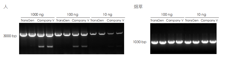 PCR 檢測(cè)