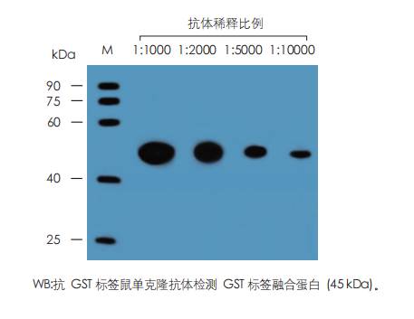 數(shù)據(jù)展示