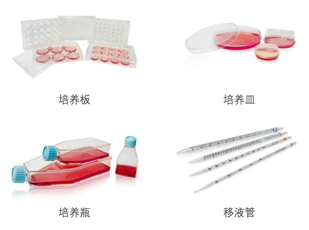 細胞培養(yǎng)相關耗材.jpg