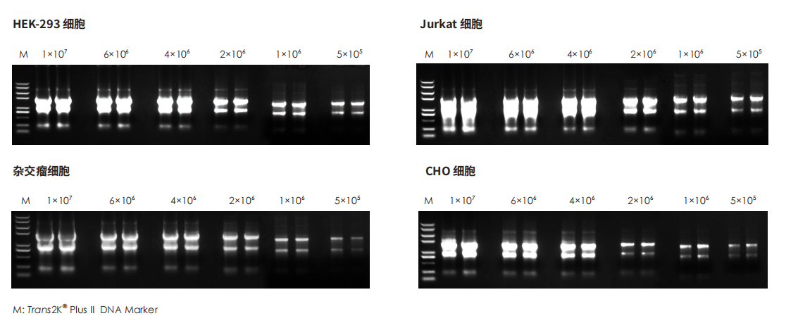 實驗數(shù)據(jù)