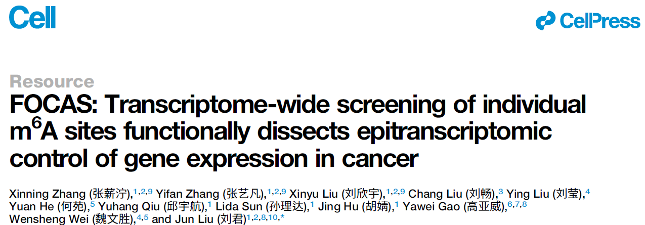 FOCAS: Transcriptome-wide screening of individual m6A sites functionally dissects epitranscriptomic control of gene expression in cancer