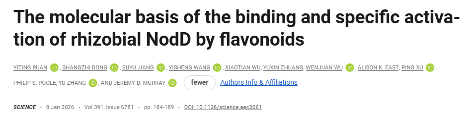 The molecular basis of the binding and specific activation of rhizobial NodD by flavonoids
